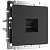 W1181008 Чёрный матовый розетка Ethernet RJ-45