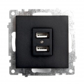 Катрин чёрная розетка USB 2-ная 4А механизм GLS10-7115-05